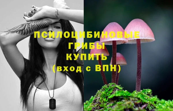 ПСИЛОЦИБИНОВЫЕ ГРИБЫ Богданович