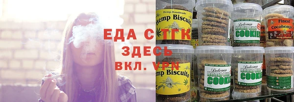 spice Богородицк